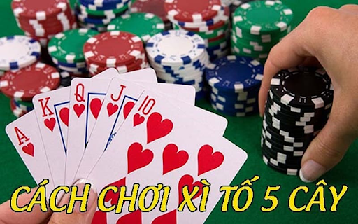 Luật chia bài và trình tự ván Xì Tố