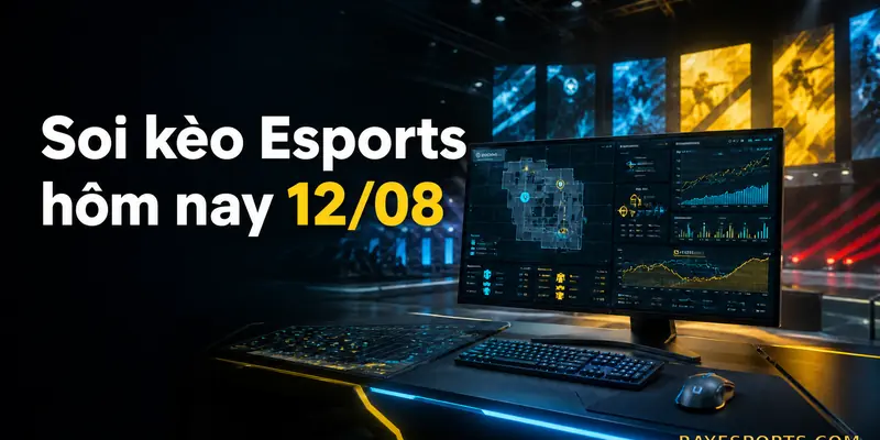 Soi kèo Esports hôm nay 12/08 – phân tích dữ liệu trước trận